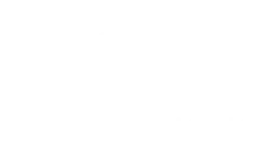 Penguin King